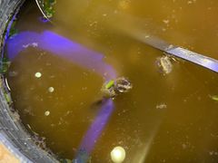 -维吾尔餐厅(宜山路店)