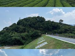 -龙坞茶村
