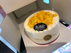 -维尔纳斯·生日蛋糕·动物奶油冰淇淋蛋糕(六里桥店)