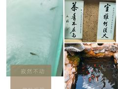 -寂照庵