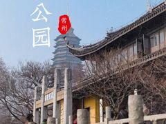 -红梅公园