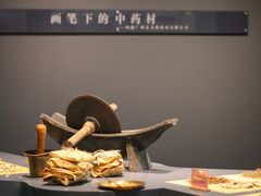 -广东中医药博物馆
