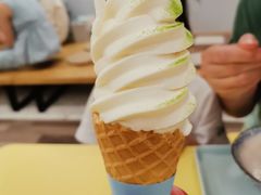-王守财小山園