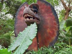 -海南热带野生动植物园