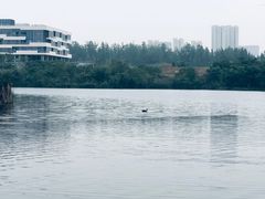 -南京工程学院(江宁校区)