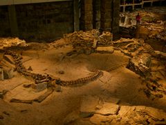 -自贡恐龙博物馆