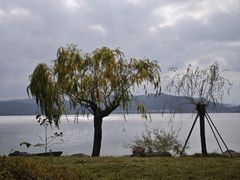 -东钱湖小普陀景区