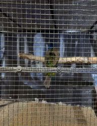 -酷嗒动物文化乐园(cutezoo西溪乐天城店)