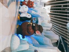 -长沙湘江冰雪世界