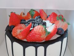 -咖咖熊蛋糕定制·蓝风车动物奶油