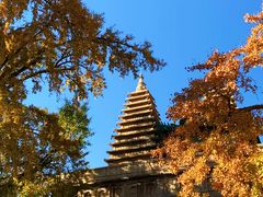 -北京石刻艺术博物馆(五塔寺)