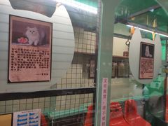 -猫咪博物馆(顶澳仔猫街店)