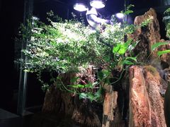 -泰谷酒店·太古码头闽菜自助餐厅