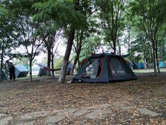 -长白岛森林公园