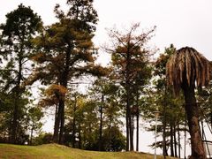 -美兰湖景区
