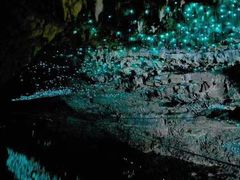 -怀托摩萤火虫洞