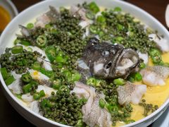 青青椒麻龙胆鱼-CHIC1699远洋私厨