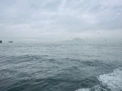 -中环5号码头