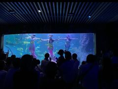 -左海海底世界