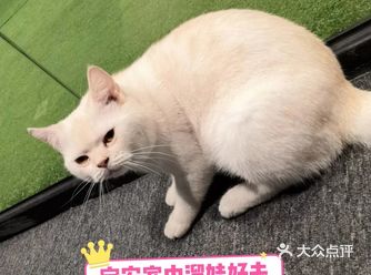 宝安室内遛娃好去处|动物园内钓鱼