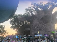 -苏州湾梦幻水世界