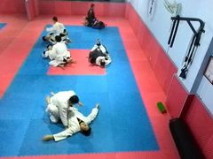 场馆-金翼跆拳道巴西柔术拳击格斗学院