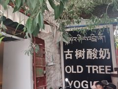 门面-古树酸奶(八廓南街店)