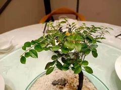 -御仙都北京菜馆·烤鸭店(双井店)