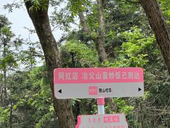 -冶父山国家森林公园