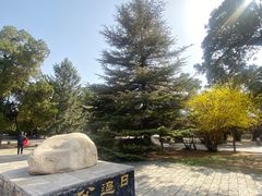 -黄帝陵