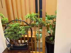 -鼎族怡华·指压·油压·经络(西单昌盛大厦店)