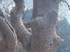 -北岳恒山