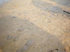 -东戴河风景区-止锚湾