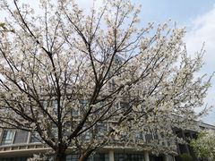 -江南大学(蠡湖校区)
