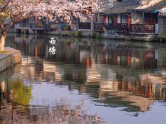-乌镇景区
