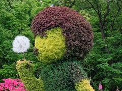 -上海共青森林公园