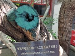 -北京鲁迅博物馆(北京新文化运动纪念馆鲁博馆区)