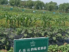 -上膳源有机农场