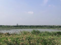 -绿堤公园