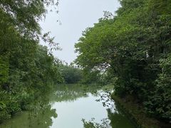 -同里国家湿地公园