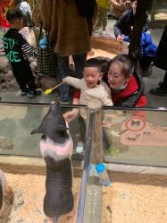 -造物庄园 萌宠纪(苏州湾歌林公园店)