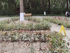 -苏州河梦清园环保主题公园