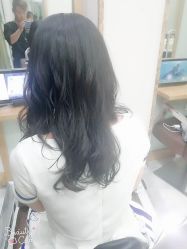 -YESIDO椰岛造型