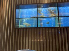 -珍宝海鲜JUMBO Seafood(尚嘉店)