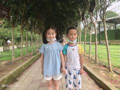 -武汉紫薇都市田园