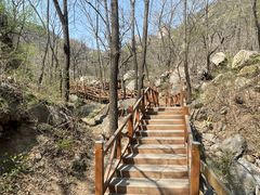 -大岭沟猕猴桃谷风景区