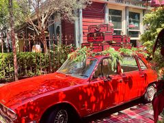 -The Grounds of Alexandria