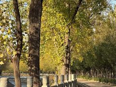 -汉长安城未央宫国家考古遗址公园