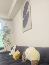 -小梨·OndaPro·专业脱毛连锁机构