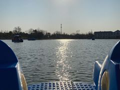 -上海长兴岛郊野公园